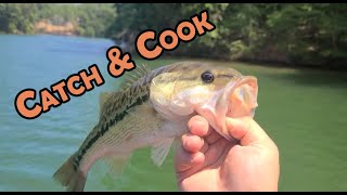 Lets Go Fishing! Catch and Cook