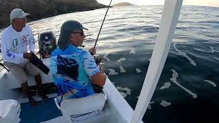 pesca de sierras, bonitos, jureles y más en Zihuatanejo 🎣🇲🇽🐟