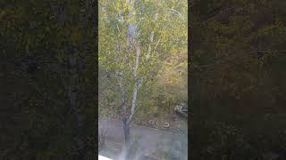 Солнце внутри каждого🌞 #top #смешные #video #природа #живой #sorts #юмор #memes #мудрость #shorts