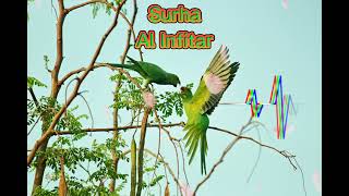 Surha Al Infitar | Best Emotional Quran Recitation For Sleep | Copyrightfree Quran Tilawat