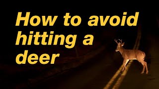 How to avoid hitting a deer