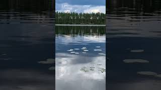 A Hidden Gem, the peaceful Pusulanjärvi lake in Nurmes, Finland 🇫🇮