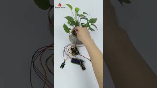 #shorts 🐞 DIY Forest Environmental Monitoring 🌳🌲 🔧 #arduino #keyestudio #stem #diy #coding #robot