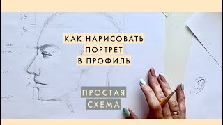 Как нарисовать портрет в профиль. Простая схема. Основные пропорции