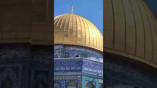 مسجداقصیٰ, شب معراج #news #masjideaqsa #palestine #jerusalem #shabemeraj #islam #muhammadﷺ #muhammad