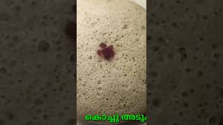 kinnathappam/soft and spongy vattayappam