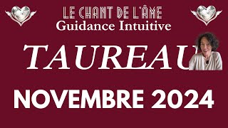 Taureau♉ Novembre 2024 - Des éclaircissements et de la nouveauté !