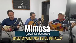 MIMOSA (Jacob do Bandolim) Polca | JORGE CARDOSO-Bandolim | Noite de Serenata