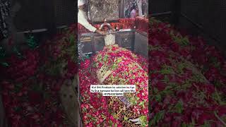 Mira datar dargah Urs stetus|whatsapp qawwali status|2024new qawwali|Famous qawwali|mira data