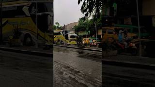 Bus Santang Prabunata Jaya Basuri DAV Viral #travelojol #shorts #yearofyou #busmania #basurihorn