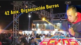 La Gaita Cariñosa… Sonido Eckos… 42 Aniv. Organización Burros.