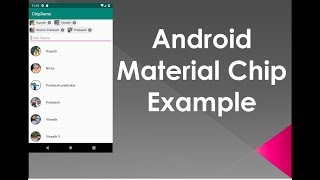 Android Material Component Entry Chip Example