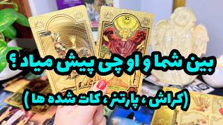 فال تاروت | این فال تا آخر تماشا کن از خوشحالی جیغ می کشی !