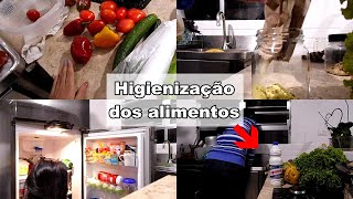 Dia de feira | Temperos, verduras e legumes | Higienização e organização | vida de dona de casa