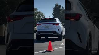 Full-Width Blade Tail Lamps on the 2022 Lexus NX | Lexus Stevens Creek