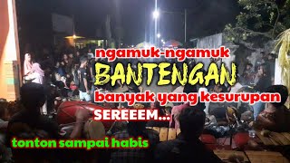 bantengan ngamuk-ngamuk kesurupan .Turonggo Mudo