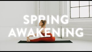 • SPRING AWAKENING  • | Yoga with Nina