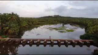 Village in Kerala | കേരളത്തിലെ ഒരു ഗ്രാമം #village #kerala #india #drone #ariel DM 4high resolution