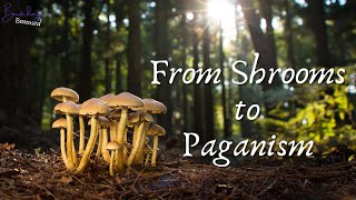 How Psilocybin Introduced Me to Witchcraft and Paganism