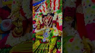 சோழவந்தான் ஜெனகை மாரியம்மன் திருவிழா #janagamaariamman #shortsfeed #mariamman