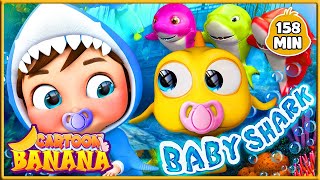 L'aventure océanique de bébé requin🌊🐠🌊 - Chansons pour bébés - Comptines et chansons pour enfants