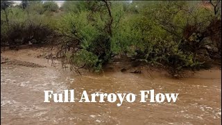 Flooded Arroyo in the Desert (relaxing, asmr)