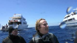 Scuba Diving on Big Brother Island - Red Sea - Egypt