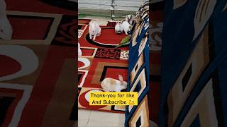 Cute pet | badmaas #trending #rabbit #yt #vlog #bunny #new #cute #news #motivation #funny #attitude