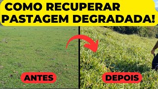 O que Fazer para melhorar a pastagem degradada !