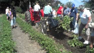 IH potato digger 2