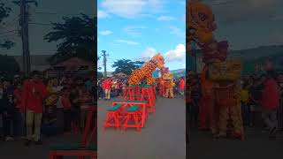 #shortvideo #barongsai tampil khusus tamu  #kapalpesiar Queen Mary 2 #kotabitung #pelabuhanbitung