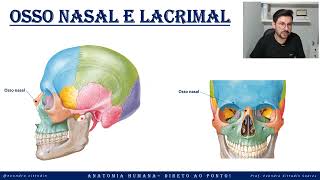 Osso nasal e lacrimal - Anatomia do crânio - Sistema esquelético - Anatomia direto ao ponto!