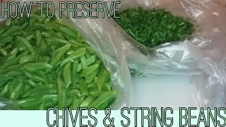 HOW TO PRESERVE CHIVES & STRINGLESS BEANS