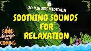 Soothing River Sounds | Soothing Relaxation | Mindfulness Meditation for Anxiety