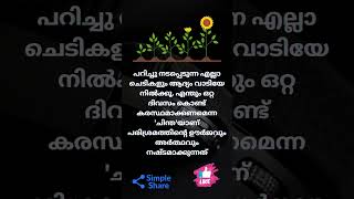 🇮🇳 🪷 ശുഭരാത്രി 🧡 സുഖനിദ്ര 💤 💕🦜 @sriedamana @rhythmoflove4422 #malayalam #trending #viralshort #quote