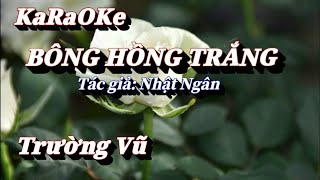 Karaoke Bông Hồng Trắng _   Trường Vũ