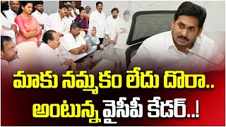 మాకు నమ్మకం లేదు దొరా...అంటున్న వైసీపీ కేడర్ | YSRCP | Jagan Mohan Reddy || TFC News