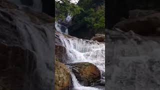 දුම්බර මිටියාවතේ සැගවි ඇති දිය ඇල්ලක්💚#subscribe#travel#knuckles#waterfallsrilanaka#waterfall#shorts