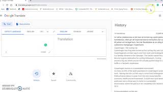 How to see and delete GOOGLE TRANSLATE HISTORY