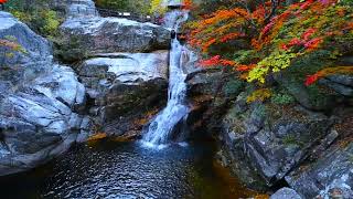 beautiful waterfall 😍 nature sounds for relaxing sleep 😴🎧#nature #naturesounds #waterfall#rainsounds