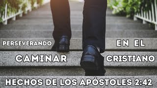 Perseverando en el caminar cristiano - Pastor Miguel Bocanegra - Hechos de los Apóstoles 2:42