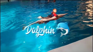 little boy enjoys riding dolphin