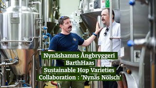 Nynäshamns Ångbryggeri // BarthHaas : Sustainable Hop Varieties Collaboration : ‘Nynäs Nölsch’