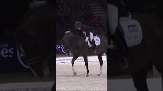 oh charlotte…😢 #youtube #equestrian #horse #viral #charlottedujardin