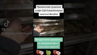 Станьте успішним підприємцем с нашими промисловими сушильними шафами! Надаємо консультац: 0952267575