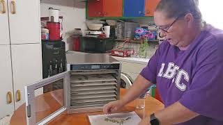 Using the beast dehydrator to dehydrate the herb, Oregano. It's such an easy way to save fresh herbs