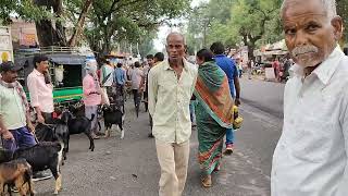 farm के लिए bakre यहां से खरीदें ? jhumra बाज़ार hazaribagh झारखंड! सस्ते से भी सस्ता BAJAR !