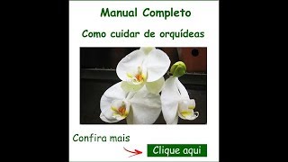 Orquideas.Aprenda neste video dicas de Orquideas