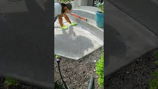 #concreteleveling #satisfying Front Walkway Large Concrete Pad Leveling Using Polyurethane Foam!!!