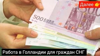 Работа в Нидерланды без знания языка для женщин мужчин 2023